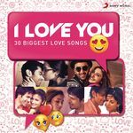 I Love You (30 Biggest Love Songs) - Sonu Nigam Song Download